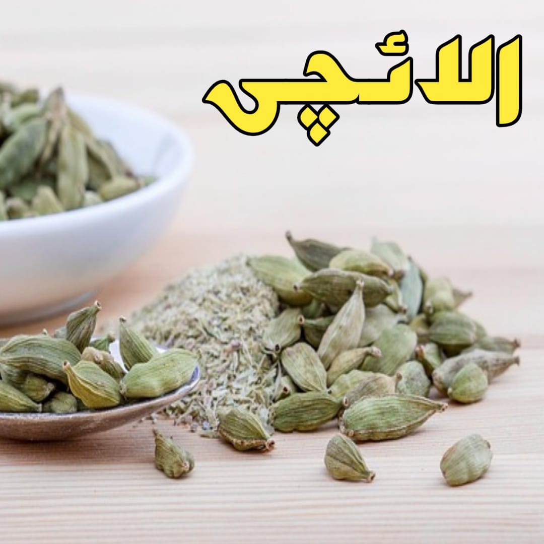 Zafar Rewari Chakwal